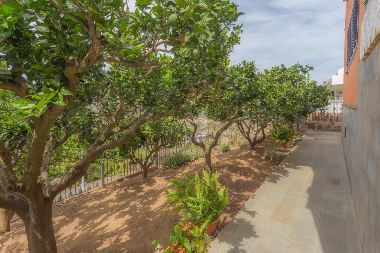 הוילה Santa Brígida Fantastic Rural House With Pool And Terrace מראה חיצוני תמונה
